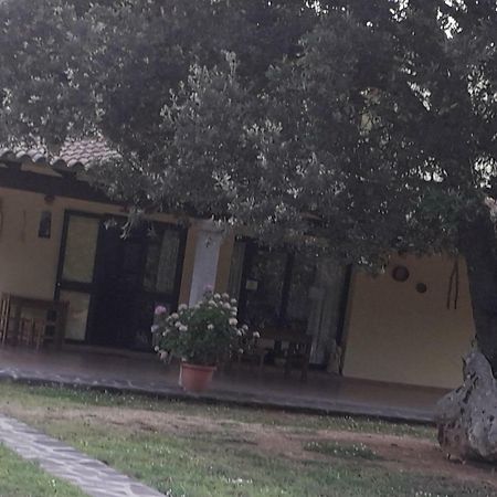 Villa Agriturismo La Tuva Padru Exterior foto