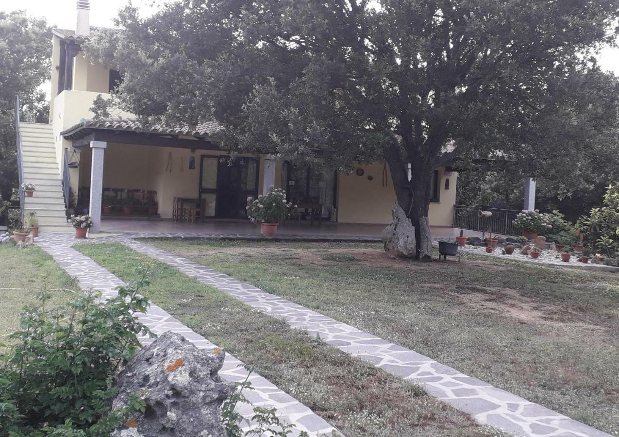Villa Agriturismo La Tuva Padru Exterior foto
