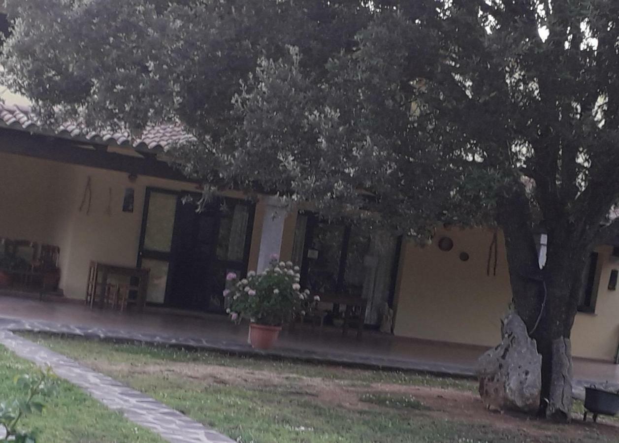 Villa Agriturismo La Tuva Padru Exterior foto
